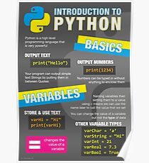 Intro to Python Poster (Computer Science GCSE) #1 Poster