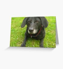 Do you love me? Greeting Card
