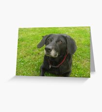 Looking up to Master Greeting Card