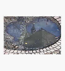 Stranger in Paradise Photographic Print