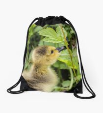 Gosling Drawstring Bag