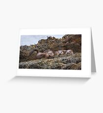 Otter family Greeting Card