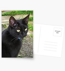 Isabella Postcards