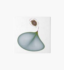 Attractor No. 44 Art Board