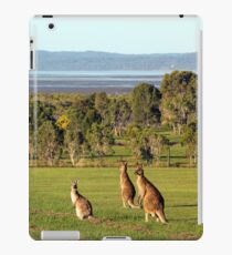 The roos are in the top paddock! iPad Case/Skin