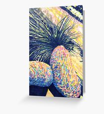 Dragoon Boulders Greeting Card