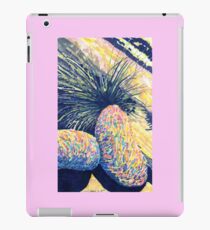 Dragoon Boulders iPad Case/Skin