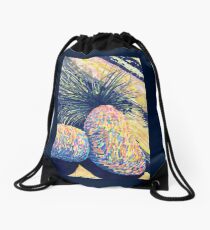 Dragoon Boulders Drawstring Bag