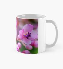 Medinilla magnifica Mug
