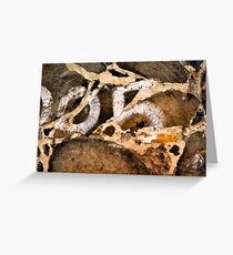 05 Greeting Card