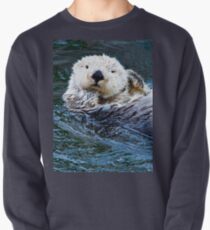 Otterly blissful Pullover