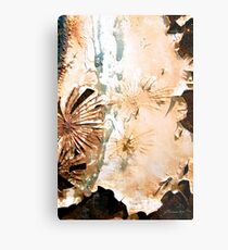 Southwest Appeal Metal Print