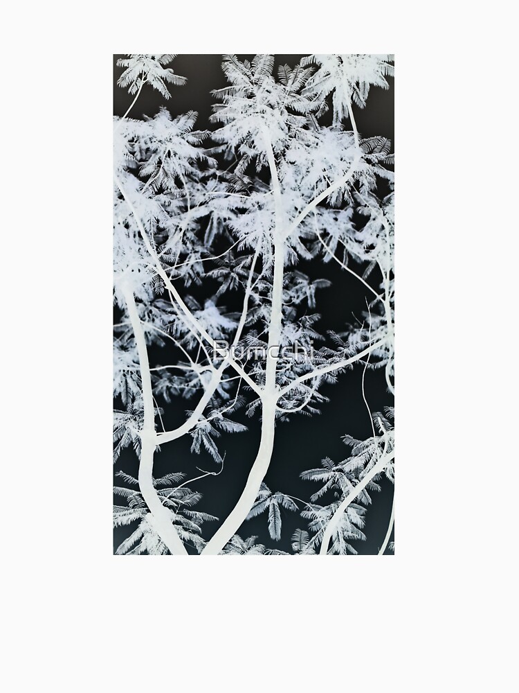 Black & White Forest - Photograph by Bumcchi