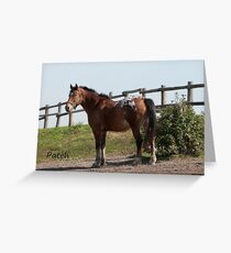 Patch - NNEP Ottawa, ON Greeting Card