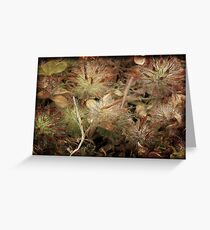 Weeds and Wildflowers 3 Greeting Card