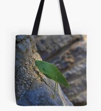 Summer Remnant - Katydid In November Tote Bag