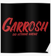 Garrosh did nothing wrong (World of Warcraft) Poster