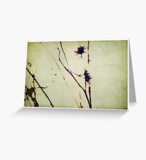 carte postale / 036 Greeting Card