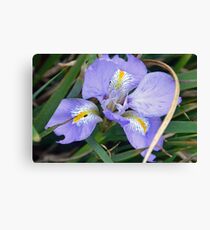 Iris wears her Blue Gown ...... Canvas Print