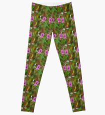 Wild Flowers Balsam or The Beverley Sisters Leggings