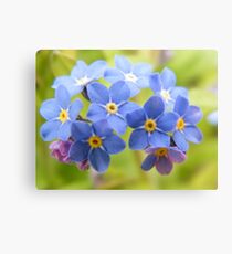 Always remember me and forget me not. Leinwanddruck