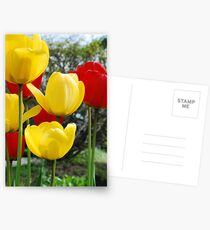 Colours Of Spring Postcards