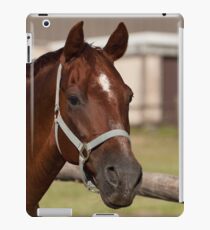 Chico - NNEP Ottawa, ON iPad Case/Skin