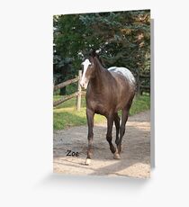 Zoe - NNEP Ottawa, ON Greeting Card