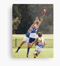Go the Spoil Metal Print