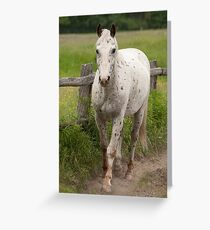 Xerox - NNEP Ottawa, ON Greeting Card