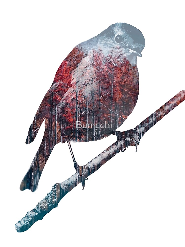 Forest Robin on a Branch by Bumcchi
