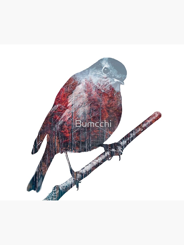 Forest Robin on a Branch by Bumcchi