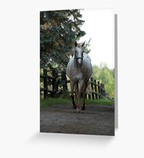 Caramel - NNEP Ottawa, ON Greeting Card