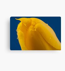 Flower Canvas Print