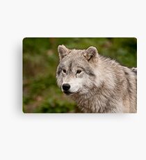 The Odd Man Out Canvas Print
