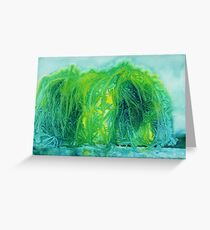 Weeping Willow Greeting Card