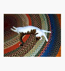 Max Stretches Out Photographic Print