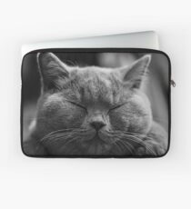 Funda para portátil Gato siames
