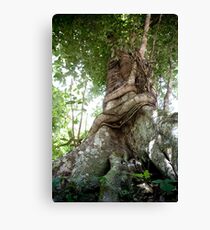 Envelop Canvas Print