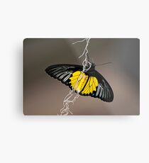Hanging by a thread Metal Print
