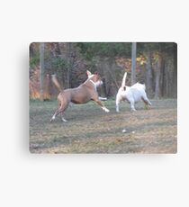 Yeeeeee Haaaaaa!!! Playtime!!! Metal Print