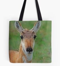 Springs doe Tote Bag