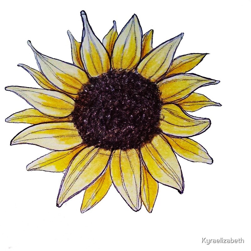 Download "Drawn Sunflower" by Kyraelizabeth | Redbubble