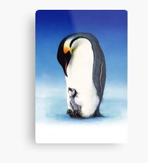 Emperor penguin with chick Metal Print