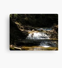 Cascade Leinwanddruck