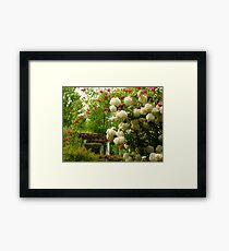 Joyous Framed Print