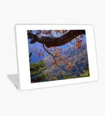 BLUE RIDGE -8 ^ Laptop Skin