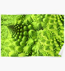 Romanesco broccoli Poster