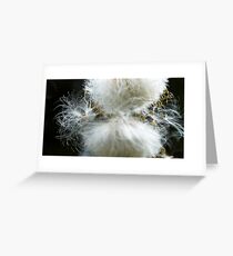 Seed Greeting Card