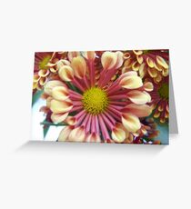 two tone Greeting Card